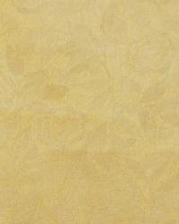 10095 Honey by  In Stock  