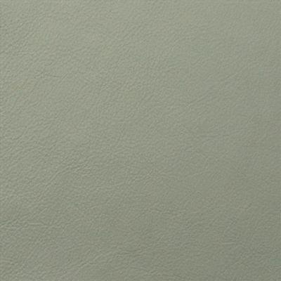 Greenhouse Fabrics 75463 Rain in Classic Leathers Green Upholstery Grain  Blend Fire Rated Fabric Solid Leather HIdes Solid Green   Fabric