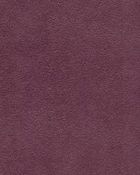 Fashion Suede Three