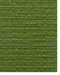 97108 Palm by  Greenhouse Fabrics 