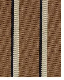 Designer Outdoor Outdoor Fabric