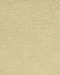 A1658 Foam by  In Stock  