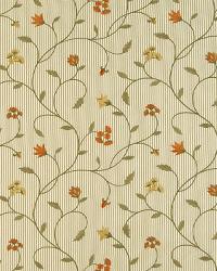 A1661 Apricot