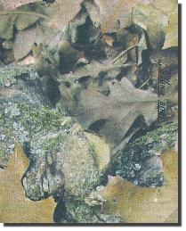 Encore 2 Hidden Western Tapestry