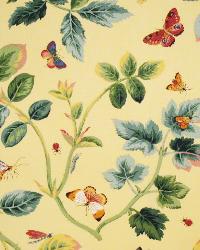 Prewitt Maize by  In Stock  
