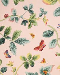 Prewitt Rosa by  In Stock  