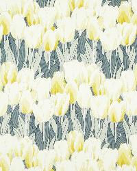Tulipa Turquoise by  In Stock  