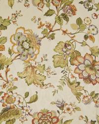 Asbury Lane Ecru by  In Stock  