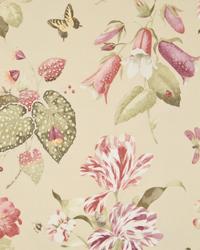 Beaux Rivage Champagne by  In Stock  