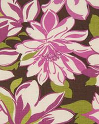Bossa Nova Fuchsia by  In Stock  