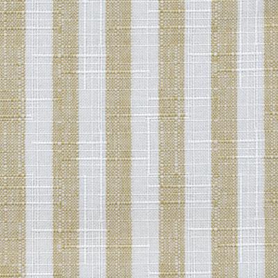 Kasmir Cape Cod Stripe Cucumber in Coastal Living Drapery Polyester Striped Textures Small Striped  Striped   Fabric