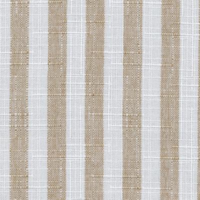 Kasmir Cape Cod Stripe Putty in Coastal Living Beige Drapery Polyester Striped Textures Small Striped  Striped   Fabric