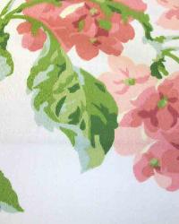 Ciao Bella Chiffon by  In Stock  