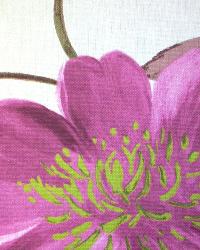 Floradora Damson by  In Stock  