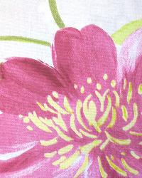Floradora Fuchsia by  In Stock  