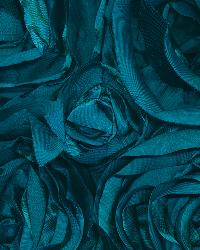 Floribunda Rose Turquoise