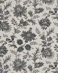 Graveur Graphite by  In Stock  