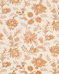 Graveur Persimmon by  In Stock  