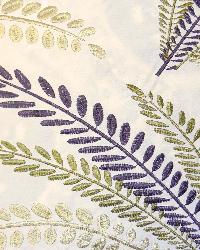 Grotto Fern