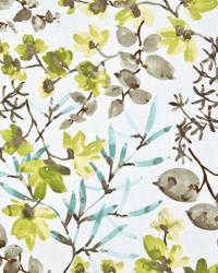 Morning Bliss Cloud by  In Stock  