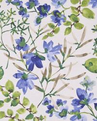 Morning Bliss Cornflower by  In Stock  