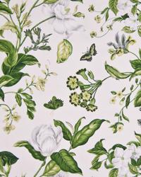 Ohara Clover by  In Stock  