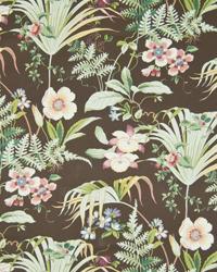 Paradise Palm Chocolate by  In Stock  