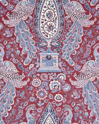 Peacock Fantasy Currant by  In Stock  