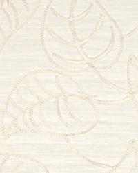 Philodendron Pearl
