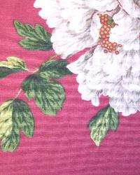 Rosemont Fuchsia by  In Stock  