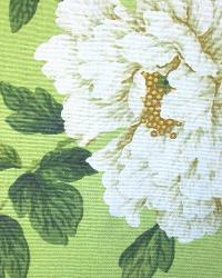 Rosemont Sage by  In Stock  