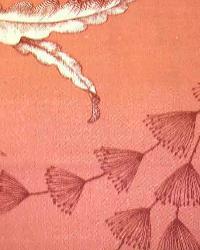 Shorecrest Coral by  In Stock  