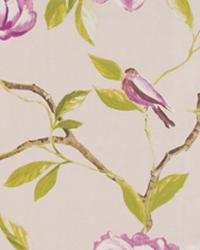 Spring Garden Mulberrry by  In Stock  