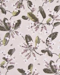 Trumpet Glory Spring by  In Stock  