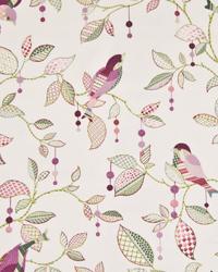 Tweeter Berry by  In Stock  