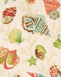 Sea Shell Fabric