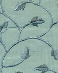 Wisp Cornflower