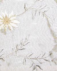 Pasha Sand by  In Stock  