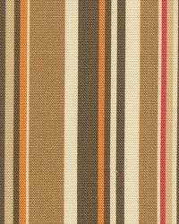 Dapper Stripe Chocolate New Additions 2009