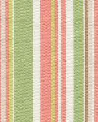 Dapper Stripe Watermelon New Additions 2009