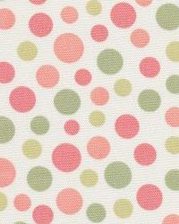 Dotty Dot Watermelon New Additions 2009