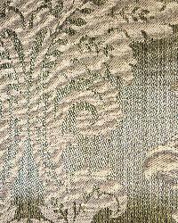Oceania Moss