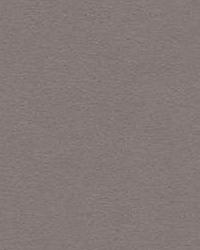 30787 21 Eco-Friendly Ultrasuede