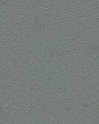 30787 515 Eco-Friendly Ultrasuede