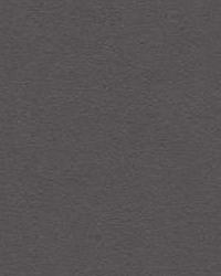 30787 521 Eco-Friendly Ultrasuede
