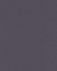 30787 5210 Eco-Friendly Ultrasuede