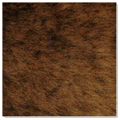 Sheepskin Cinnamon Garrett Leather Sheepskin Cinnamon Sheep Skin