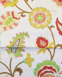 Region Candy by  In Stock  