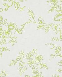 Cornflower 03 Green by  In Stock  