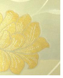 Mayflower Acacia by  In Stock  